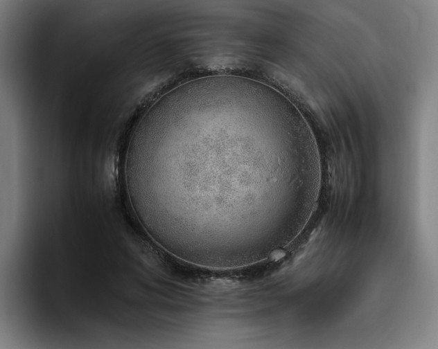 X0000094820592200711161529