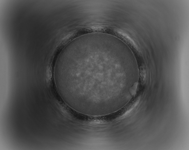 X0000094820593200711161529