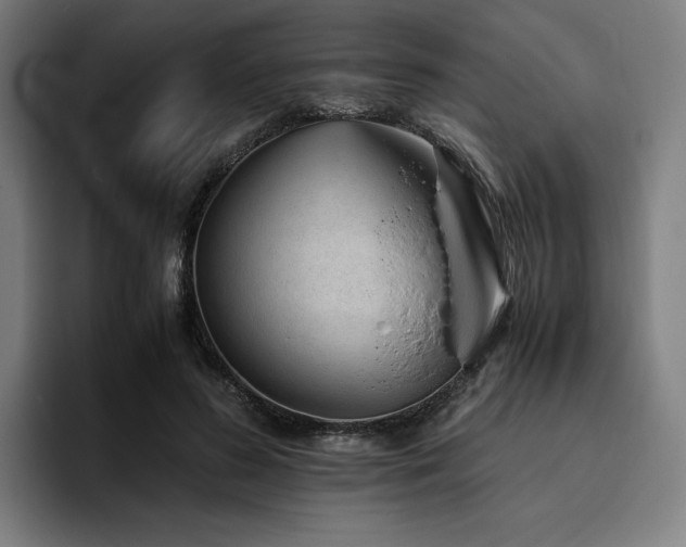 X0000094820596200711161529