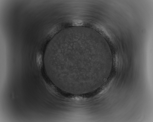 X0000094820598200711161529