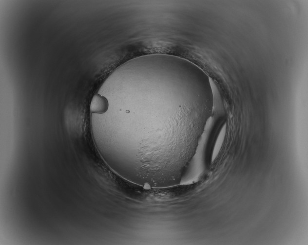 X0000094820599200711161529