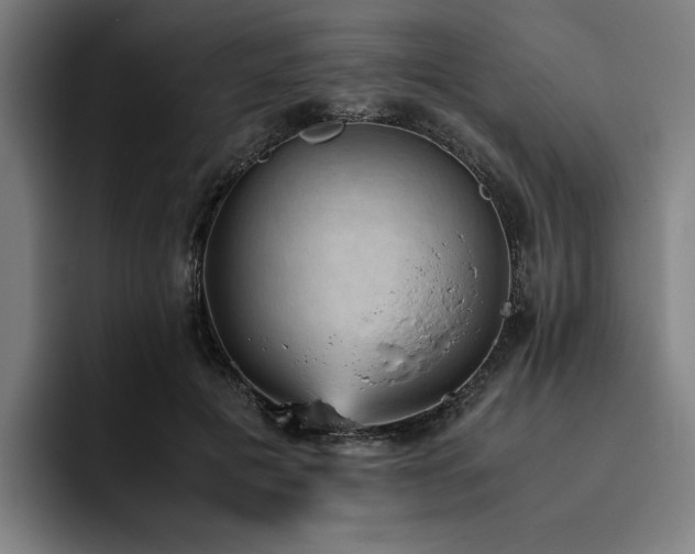 X0000094820601200711161529