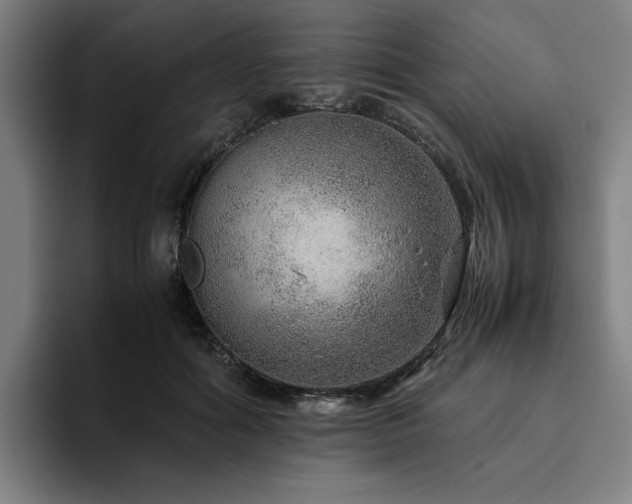 X0000094820602200711161529