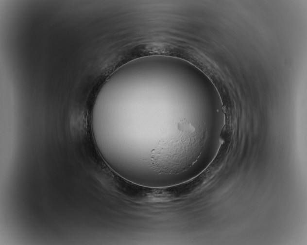 X0000094820603200711161529