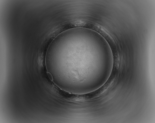 X0000094820604200711161529