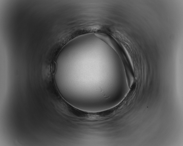 X0000094820605200711161529