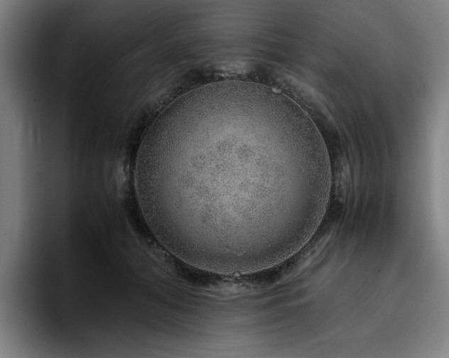 X0000094820608200711161529