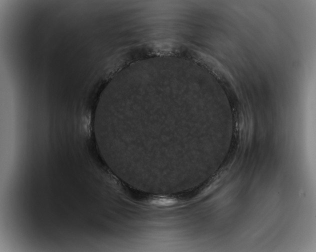 X0000094820610200711161529