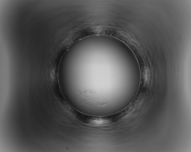 X0000094820611200711161529