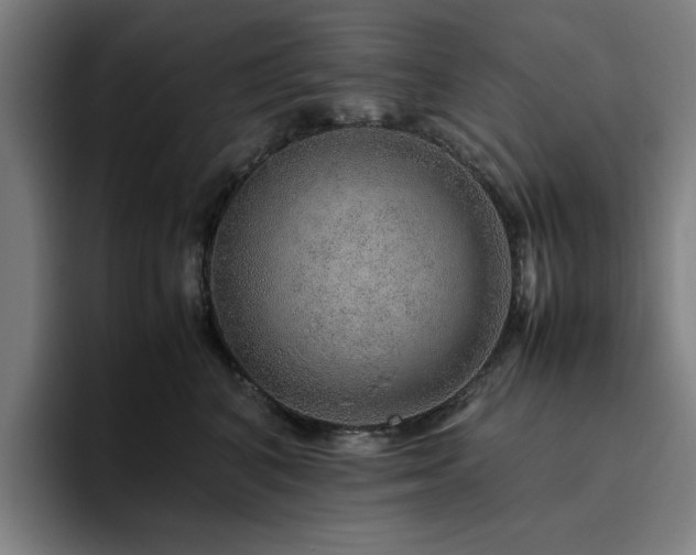 X0000094820616200711161529
