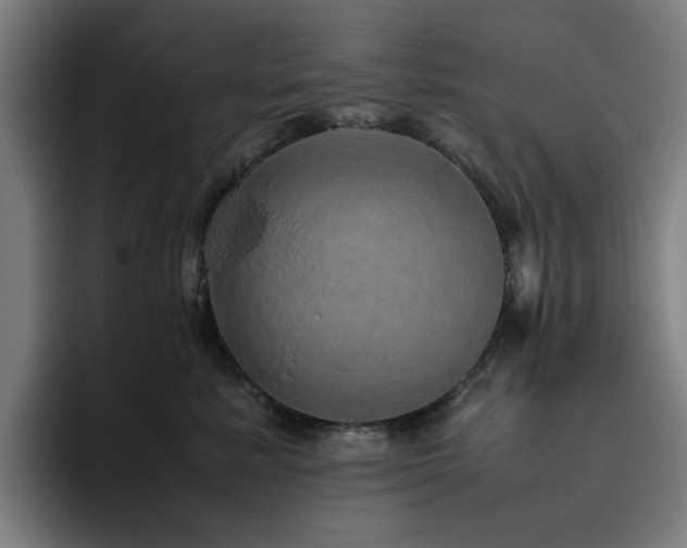 X0000094820619200711161529