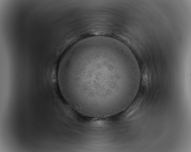 X0000094820620200711161529