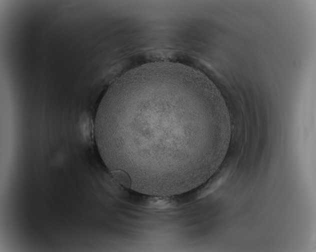 X0000094820624200711161529