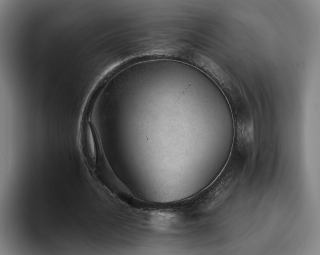 X0000094820628200711161528