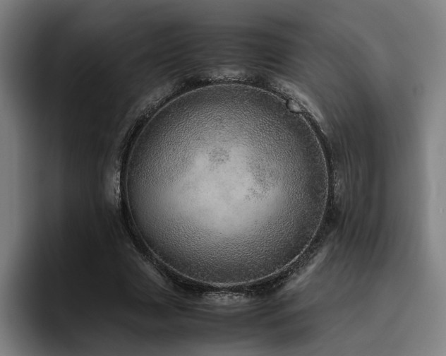 X0000094820633200711161528