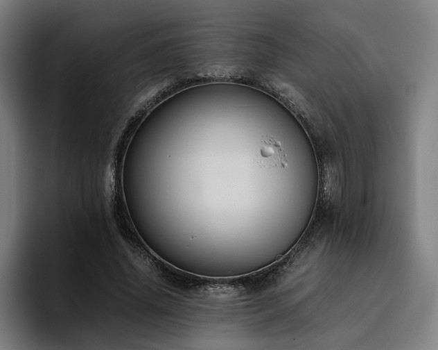X0000094820636200711161528