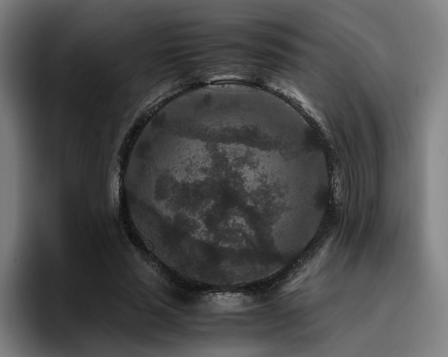 X0000094820637200711161528