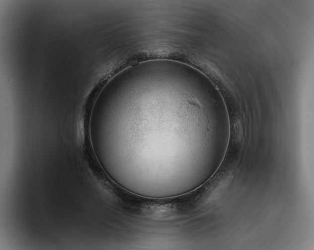 X0000094820638200711161528