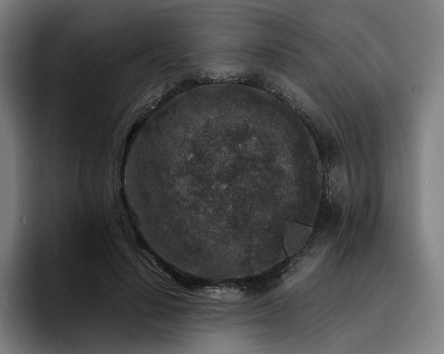 X0000094820644200711161528