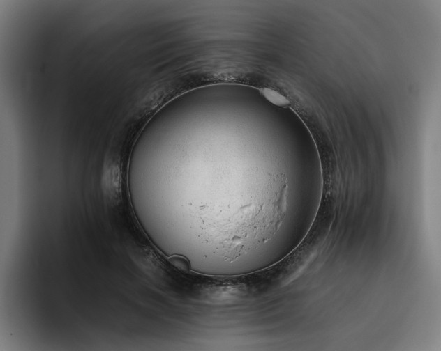 X0000094820646200711161529