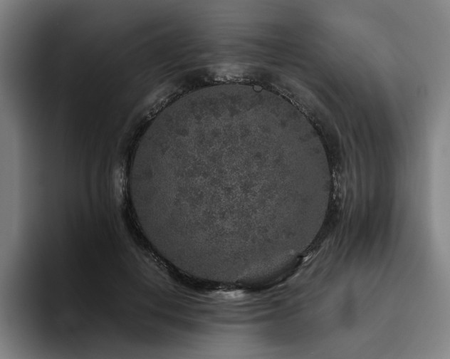 X0000094820648200711161529