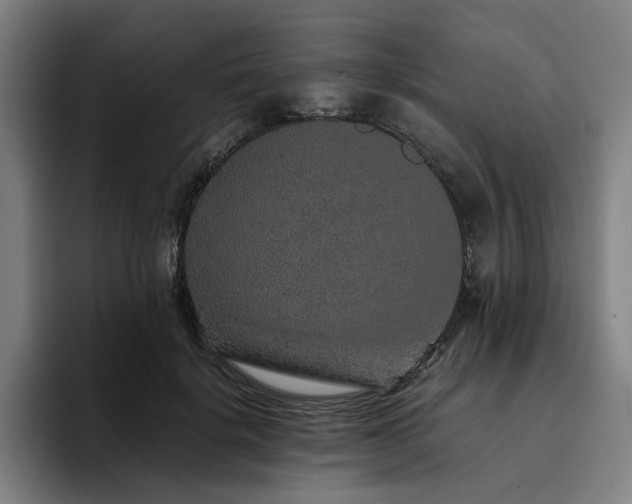 X0000094820652200711161529
