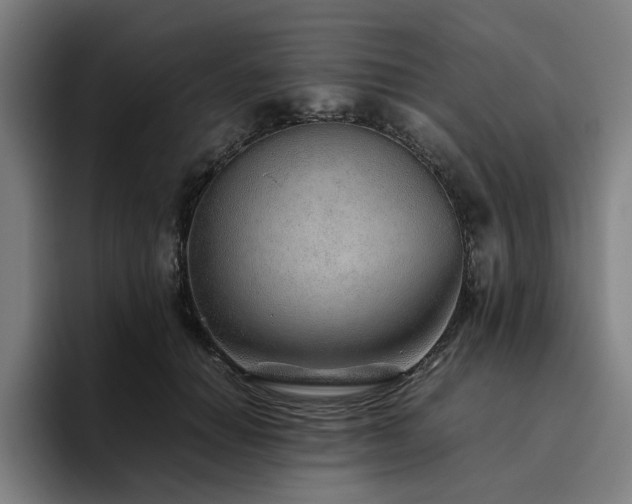 X0000094820654200711161529