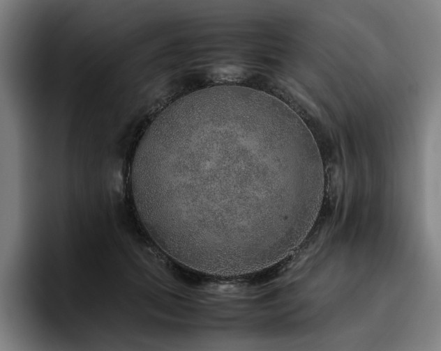 X0000094820655200711161529