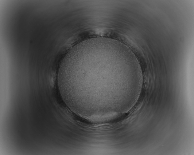 X0000094820656200711161529