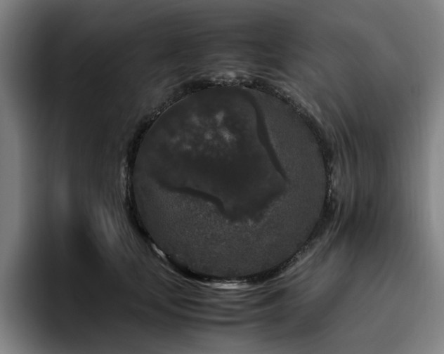 X0000094820659200711161529
