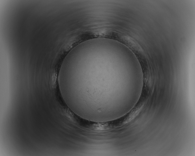 X0000094820660200711161529
