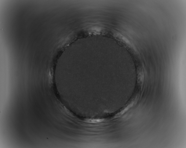 X0000094820661200711161529