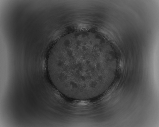 X0000094820663200711161529