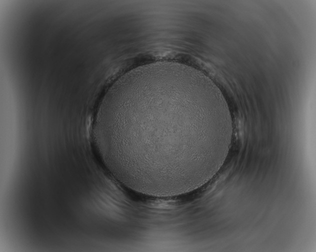 X0000094820664200711161529