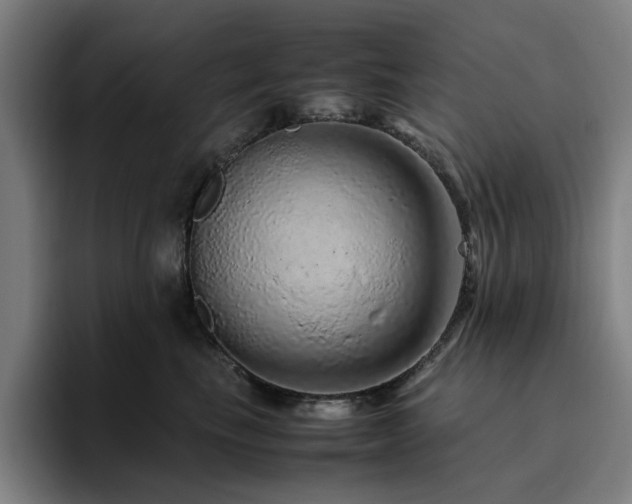 X0000094820665200711161529