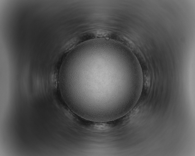 X0000094820666200711161529