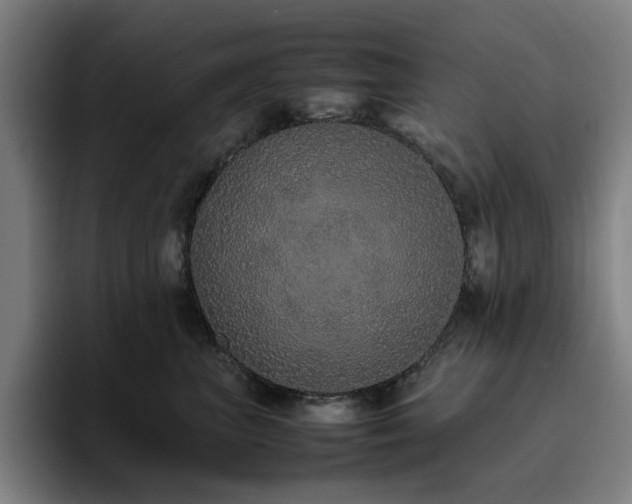 X0000094820667200711161529