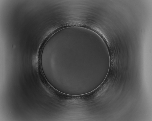 X0000094820674200711161528