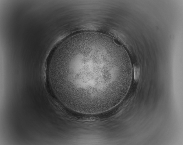 X0000094820675200711161528