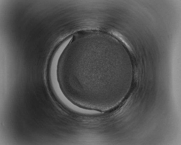 X0000094820677200711161528