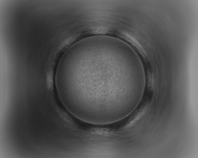 X0000094820681200711161528