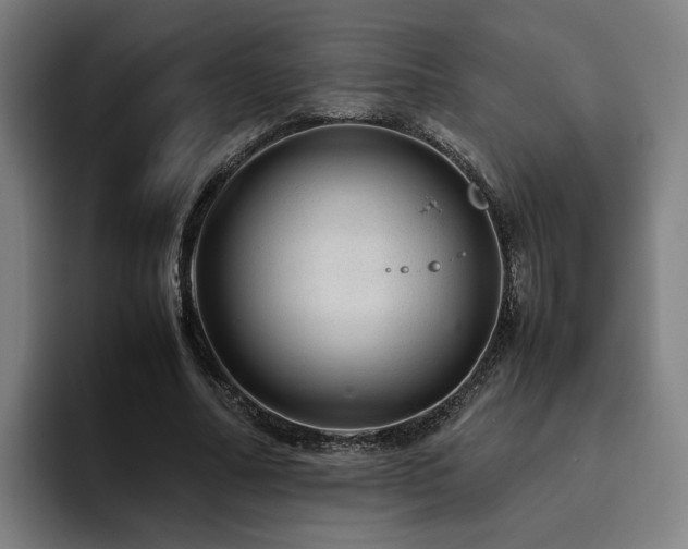 X0000094820682200711161528