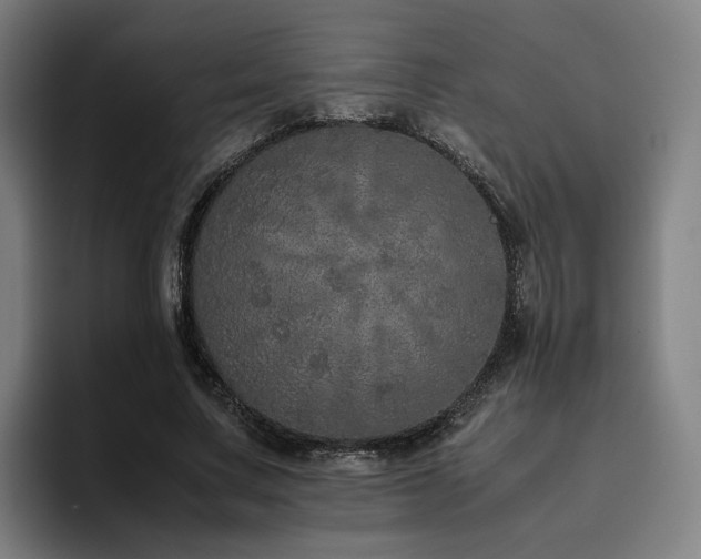 X0000094820683200711161528