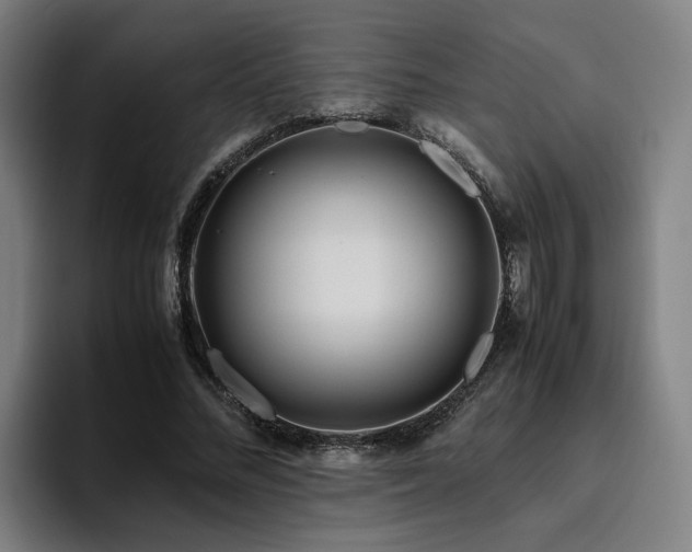 X0000094820684200711161528