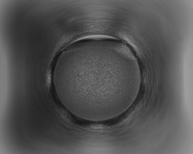 X0000094820685200711161528