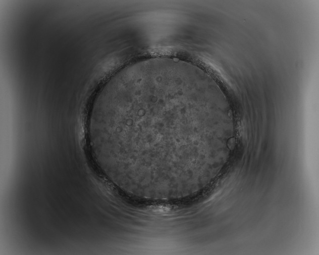 X0000094820687200711161528