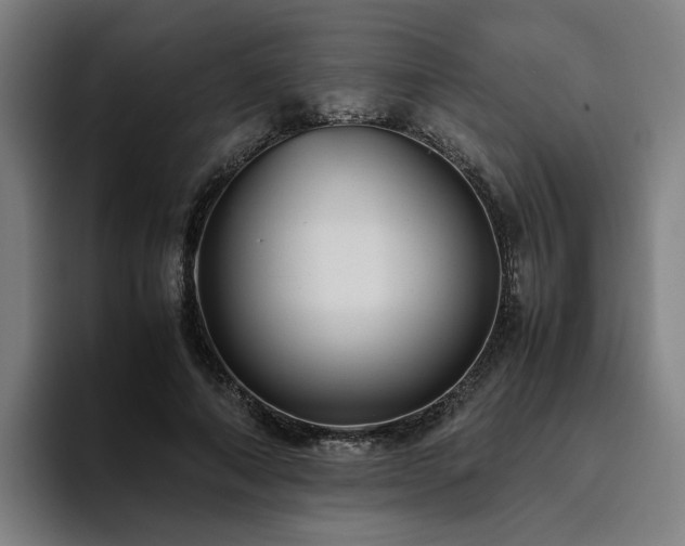 X0000094820690200711161528