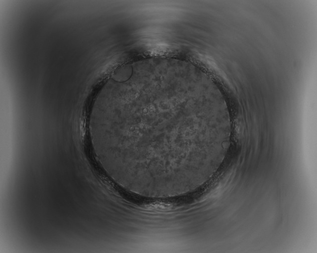 X0000094820691200711161528