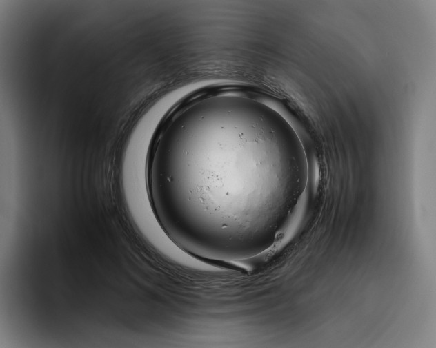 X0000094820692200711161528