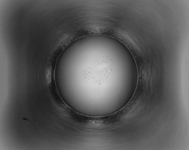 X0000094820694200711161528